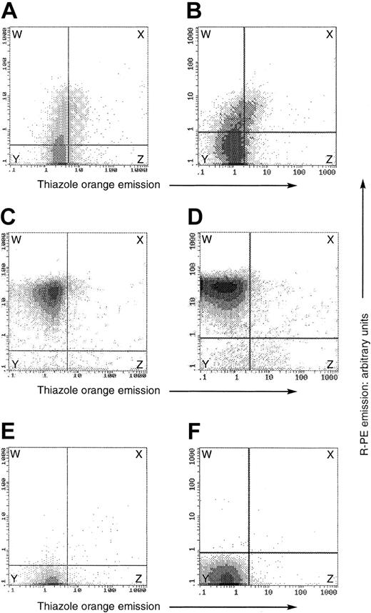 Figure 4. Flow cytometry on fixed and permeabilized, OHSt and normal, red cells. In all plots, the y-axis denotes the emission of the R-PE label conjugated to the secondary antibody in the stomatin detection system, whereas the x-axis denotes thiazole orange fluorescence emission. Both are expressed in arbitrary units. The panels show data from separate experiments on peripheral blood of patient A-II-1 (top row) and patient B-II-1 (lower row). In each experiment, we analyzed a patient (A-B) and a healthy control (C-D) in the presence of the antistomatin antibody and thiazole orange, and then the healthy control in the presence of thiazole only (E-F). The horizontal and vertical demarcation boundaries were set by the control experiments on normal blood shown in panels E-F, in which normal blood, containing about 1% reticulocytes, was subjected to the same analysis in the absence of the antistomatin antibody, defining the threshold fluorescence of the antibody detection method. In the normal samples (C-D), essentially all erythrocytes were stomatin-positive and thiazole-negative, and were present in the upper left box, labeled W. In patients A-II-1 and B-II-1 (panels A and B, respectively), the stomatin expression was always less than that of healthy controls, but nevertheless positive in a minority of the cells (regions W + X), quantitated at 23.6% in patient A-II-1 and 16% in patient B-II-1. In each OHSt case, about 20% to 25% of the stomatin-positive cells were also thiazole-positive (region X, panels A-B), whereas only about 5% of the stomatin-negative cells were thiazole-positive (region Z, panels A-B). Thus stomatin-positive cells tended also to be thiazole-positive.