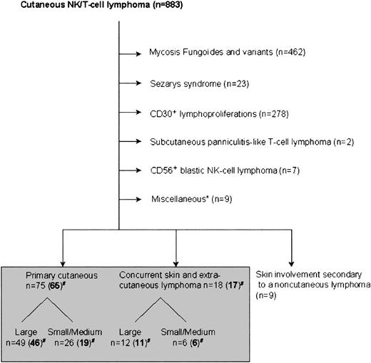 Figure 1. Patients with cutaneous T/NK-cell lymphomas included in the registry of the Dutch Cutaneous Lymphoma Group between October 1985 and December 2000. *“Miscellaneous” includes patients with T-cell leukemia (n = 4), HIV-related CTCL (n = 2), adult T-cell lymphoma/leukemia (n = 2), and T-lymphoblastic lymphoma (n = 1). #Numbers in parentheses denote number of patients included in this study.