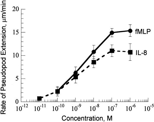 Figure 1. Rate of pseudopod extension versus chemoattractant concentration at 37°C. Data are shown for fMLP (solid line) and IL-8 (dashed line).