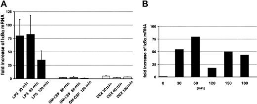 Figure 5. Relevant up-regulation of IκBα mRNA by LPS and expression of oscillatory kinetics under prolonged stimulation. (A) PMNs were incubated with 1 μg/mL LPS, 20 ng/mL GM-CSF (CSF), or 10–7 M DEX for the indicated time points and synthesis of IκBα mRNA was assessed by quantitative RT-PCR (n = 6 for LPS; n = 3 for GM-CSF and DEX). Total RNAs were isolated according to a Qiagen protocol including DNase treatment; quantification was checked for each sample using probes for GAPDH mRNA. The oligonucleotides used for IκBα are described in “Materials and methods.” The values represent mean ± SEM. (B) To investigate the time kinetics of LPS-induced expression of IκBα, mRNA cells were treated up to 180 minutes with 1 μg/mL LPS (n = 3). A representative figure is shown.