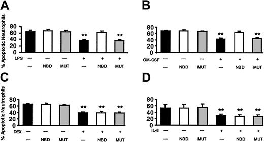 Figure 9. The effect of NBD on LPS-, GM-CSF–, DEX-, and IL-8–delayed apoptosis. Cells were incubated with buffer control (▪), 10 μM TAT-NBD (□), or the same concentration of a mutant control peptide (▦) in the absence or presence of 100 ng/mL LPS (A), 20 ng/mL GM-CSF (B), 10–7 M DEX (C), or 100 nM IL-8 (D). After 20 hours cells were harvested and the percentage of apoptotic PMNs was assayed by flow cytometry using annexin V staining (n = 5 for LPS, GM-CSF, DEX; n = 4 for IL-8). The data indicate that LPS did not inhibit apoptosis in the presence of TAT-NBD, whereas significant delay of apoptosis occurred in the presence of buffer control or the mutant control peptide. Although TAT-NBD had no effect on the delayed apoptosis by DEX and IL-8, TAT-NBD prevented delayed apoptosis by GM-CSF (**P < .01 when compared to untreated cells).