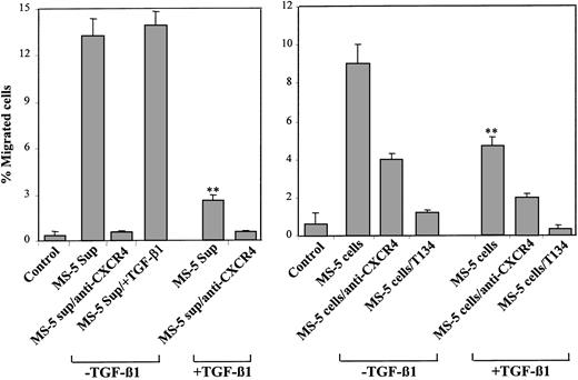 Figure 4. Transendothelial migration to supernatants from untreated and TGF-β 1–treated MS-5 cells. NCI-H929 cells were preincubated with anti-CXCR4 antibodies, T134, or adhesion medium alone and were subjected to migration through HUVEC monolayers to lower chambers containing isolated supernatants from MS-5 cells treated with or without TGF-β 1 (+ TGF-β 1 and –TGF-β 1, respectively) (left) or to MS-5 cell cultures in the lower chambers treated for 3 days with or without TGF-β 1 (+ TGF-β 1 and –TGF-β 1, respectively) (right). To some conditions, TGF-β 1 was added to the medium (MS-5 Sup/+ TGF-β 1). Data represent the means ± SDs of duplicate samples from a representative result of 4 (left) and 2 (right) experiments. Reduction in cell migration was significant (**P < .005), according to Student 2-tailed t test.