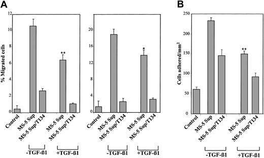 Figure 7. Migration and adhesion of cord blood CD34+ cells to supernatants from untreated and TGF-β 1–treated MS-5 cells. CD34+ cells isolated from human cord blood samples were preincubated with T134 and subjected to chemotaxis (A, left) or transendothelial migration across HUVECs (A, right) to supernatants from MS-5 cells treated with or without TGF-β 1 (+ TGF-β 1 and –TGF-β 1, respectively). Data represent the mean ± SD of 6 (left) and 5 (right) experiments. Reduction in cell migration was significant (**P < .005; *P < .05), according to Student 2-tailed t test. (B) BCECF-AM–labeled CD34+ cells were preincubated with T134 and subsequently exposed for 1 minute at 37°C to supernatants from MS-5 cells incubated with or without TGF-β 1. Cells were added to wells containing sVCAM-1 and were subjected to adhesion for 4 minutes after a short spin. Nonbound cells were washed, and the extent of adhesion was measured in a fluorescence analyzer. Data represent the means ± SDs of triplicate samples from a representative result of 3 experiments. Reduction in triggering of cell adhesion was significant (**P < .005), according to Student 2-tailed t test.