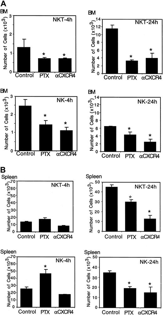 Figure 5. The homing of NK and NK T cells to the BM, but not the spleen, of NOD/SCID mice is dependent on Gαi signaling and CXCR4. (A) The homing (4 hours) and accumulation (24 hours) of NK and NK T cells to the BM were reduced when cells were treated with either PTX or anti-CXCR4 neutralizing antibody. (B) The homing (4 hours) of NK and NK T cells to the spleen is not dependent on Gαi signaling and CXCR4. The accumulation (24 hours) of NK and NK T cells to the spleen was reduced when cells were treated with either PTX or anti-CXCR4 neutralizing antibody. The results represent the average of 3 independent experiments ± SE. *P < .05.