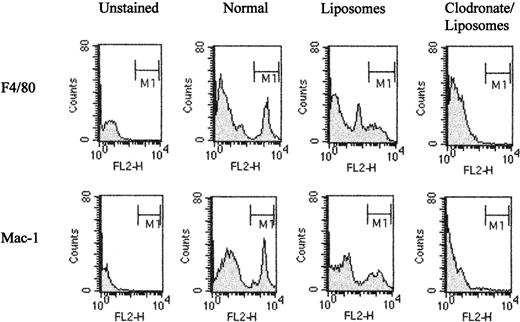 Figure 4. Effect of clodronate on peritoneal macrophage cell populations. Mice were treated with either 100 μL control liposomes or clodronate liposomes. Ninety hours later, peritoneal cells were harvested by lavage, and macrophage levels were assessed by staining with F4/80 or Mac-1. Results are presented as FACS profiles for unstained cells, normal washout cells, washout cells from a mouse treated with clodronate alone, or a mouse treated with clodronate liposomes.