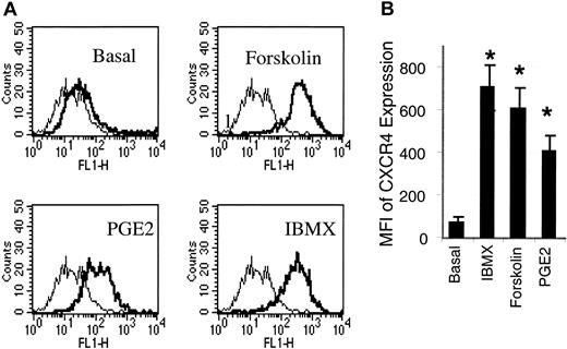 Figure 2. Forskolin and IBMX, 2 cAMP inducers, are potent inducers of CXCR4 expression on HMECs. (A) HMECs were stimulated with forskolin (1 μM), IBMX (0.02 mM), or PGE2(10–9 M) for 24 hours. Thereafter, the cell surface expression of CXCR4 was analyzed. As depicted by the histograms, CXCR4 expression (thick histograms) was enhanced by IBMX, forskolin, or PGE2 relative to the basal expression of CXCR4 on these cells. The background level of fluorescence in the presence of mouse IgG2a control is depicted by the thin histograms. A representative experiment of 3 is shown. (B) A comparison of MFI of PGE2-, dorskolin-, and IBMX-stimulated HMECs indicated that IBMX and forskolin induce up to a 6-fold increment of CXCR4 in relation to the basal CXCR4 expression, and about a 1.5-fold increment in relation to PGE2 stimulation. Statistical analysis was performed using ANOVA relative to the basal expression of CXCR4 on HMECs. The mean + SEM of 3 experiments is shown. *P < .01.