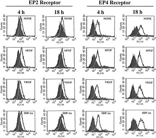 Figure 3. HMECs express EP2 and EP4 receptors. HMECs were stimulated with bFGF (10 ng/mL), VEGF (10 ng/mL), or SDF-1α (100 ng/mL) for either 4 or 18 hours. Thereafter, cells were stained with antibodies to EP2 (cell surface staining) or EP4 (intracellular staining) receptors and analyzed by flow cytometry. Control antibody is depicted by filled histograms. EP2 and EP4 receptors are depicted by the empty histograms. The figure shows one representative experiment of 3 performed.