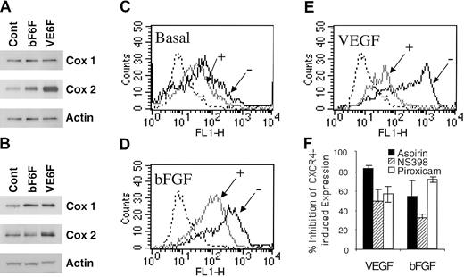Figure 4. Acetylsalicylic acid, piroxicam, and NS398 inhibited VEGF- and bFGF-induced CXCR4. (A-B) Regulation of COX by VEGF and bFGF. HMECs were stimulated with either bFGF (10 ng/mL) or VEGF (10 ng/mL) for 4 hours (A) or 18 hours (B); thereafter the levels of COX-1 and COX-2 were determined. (C-E) The basal expression of CXCR4-, VEGF-, or bFGF-induced CXCR4 in the presence (+) or absence (–) of aspirin (10–4 M) is shown. The isotype control is depicted by the dotted histograms. The data show one representative experiment of 3 performed. (F) Acetylsalicylic acid and NS398 inhibited VEGF- and bFGF-induced CXCR4 on HMECs. Treatment of HMECs with NS389 (1 μM), acetylsalicylic acid (10–4 M), piroxicam (1.5 μM) for 24 hours inhibited VEGF- and bFGF-mediated CXCR4 up-regulation. The results are expressed as the percentage of inhibition of CXCR4-induced expression after VEGF or bFGF stimulation. The data show mean + SEM of 3 experiments.