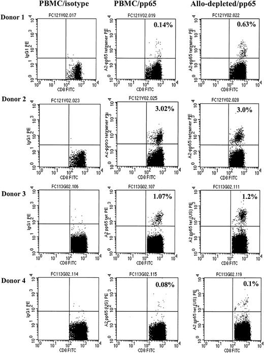 Figure 4. CMV-specific CD8+ T cells are not deleted by allodepletion. The figure shows FACS analysis following staining of either unmanipulated PBMCs (right and center columns) or allodepleted cells (left column) from 4 HLA-A2–positive, CMV-seropositive donors with IgG PE (left column) or an HLA-A2–CMV pp65 tetramer (center and right columns). The percentages of tetramer-positive cells as a proportion of CD8+ cells with isotype subtracted are shown.