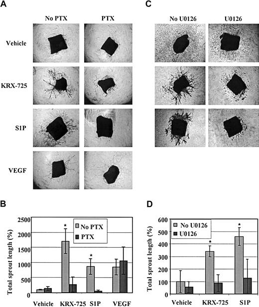 Figure 7. Sprout formation induced by KRX-725 and S1P is mediated via the Gi-MEK-ERK pathway. (A) Aortic rings from C57BL/6 mice were maintained for 10 days with vehicle (0.1% DMSO), KRX-725 (20 μM), S1P (200 nM), and VEGF (10 ng/mL) in the presence or the absence of PTX (200 ng/mL). Representative micrographs of rings of each arm of the experiment are shown. (B) Morphometric analysis of sprout length of 4 rings for each group described in panel A; mean ± SEM is presented relative to the control rings (100%). * indicates statistical significance (P < .05, Wilcoxon test) of treatment without PTX versus treatment with PTX. (C) Aortic rings from BALB/c mice were maintained for 7 days with vehicle (0.1% DMSO), KRX-725 (20 μM), and S1P (200 nM) in the presence or the absence of the MEK inhibitor U0126 (10 μM). Representative micrographs of rings from 9 repeats of each arm of the experiment are shown. (D) Morphometric analysis of sprout length of 4 rings in each group described in panel C; mean ± SEM is presented relative to the control rings (100%). * indicates statistical significance (P < .05, Wilcoxon test) of treatment without U0126 versus treatment with U0126. Original magnification of all micrographs is × 4.