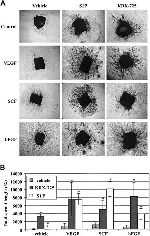 Figure 8. KRX-725 and S1P synergize with protein angiogenic growth factors in sprout formation. BALB/c aortic rings were cultured with vehicle (0.1% DMSO), VEGF (10 ng/mL), SCF (30 ng/mL), and bFGF (20 ng/mL) alone or in combination with S1P (200 nM) and KRX-725 (20 μM) for 10 days. The rings were then fixed, stained with 0.02% crystal violet, and examined microscopically. (A) Representative micrographs of rings of each arm of the experiment. Original magnification × 4. (B) Morphometric analysis of sprout length from 4 repeats; mean ± SEM is presented relative to the control rings (100%). * indicates statistical significance (P < .05, Wilcoxon test) of the combined treatments with KRX-725 or S1P versus the controls (vehicle or protein factors alone).