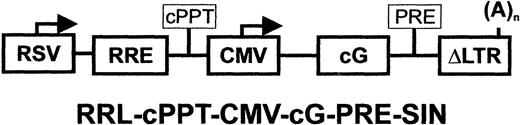 Figure 1. Schematic representation of lentiviral vector. CMV indicates cytomegalovirus immediate early promoter; cG, canine granulocyte colony-stimulating factor cDNA; ΔLTR, long terminal repeat with majority of U3 region deleted; RSV, Rous Sarcoma Virus enhancer/promoter; RRE, rev responsive element; cPPT, HIV-1 central polypurine tract; and PRE, hepatitis B virus posttranscriptional regulatory element.