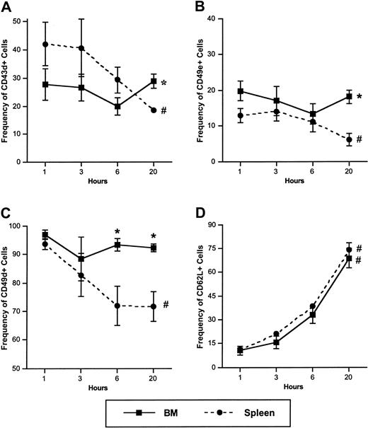 Figure 3. Frequency of CD43+, CD49e+, CD49d+, and CD62L+ cells among donor Sca-1+ cells in BM, spleen, and PB at 1, 3, 6, and 20 hours following transplantation of low-density BM cells. Mice were irradiated with 950 cGy, underwent transplantation an average of 18.5 hours later with 1 × 107 to 1 × 108 LDBM cells, were killed at the indicated time points, and donor Sca-1+ cells in BM and spleen were analyzed for expression of CD43 (A), CD49e (B), CD49d (C), and CD62L (D) by flow cytometry as described in “Materials and methods.” All 4 time points were assayed in every experiment. Data are expressed as the mean ± SEM percent of donor Sca-1+ cells with light scatter properties characteristic of primitive hematopoietic cells and that express each adhesion molecule. n = 4; *P < .05 when compared with spleen at the same time points, #P < .05 when compared with earlier time points of same tissue. Data for BM cells are partially reproduced, with permission, from Plett et al.18