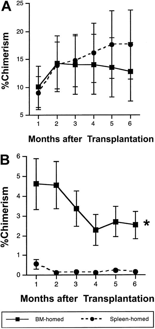 Figure 5. Cells capable of sustaining secondary long-term hematopoiesis home more efficiently to BM than to spleen by 20 hours after transplantation. Irradiated or nonirradiated 1°ST recipients underwent transplantation with 1 × 105 to 3 × 105 Sca-1+ lin– CD62L– or Sca-1+ lin– CD49e+ ENG cells, were killed 20 hours later, and BM-homed or spleen-homed donor cells were isolated flow cytometrically. Equal numbers of sorted cells (range, 50 to 200 cells per mouse) were transplanted along with 1 × 105 LDBM competitor cells of recipient origin into lethally irradiated 1°LT recipients. Mean ± SEM percent donor-derived chimerism in 1°LT recipients analyzed monthly is shown in panel A; n = 18-22 mice per symbol from 8 separate experiments. In 3 experiments, 1 × 106 to 5 × 106 LDBM cells from 1°LT recipients 6 months after transplantation were transplanted without competition into lethally irradiated 2°LT recipients (B). Data in panel B are pooled data from 1 irradiated and 2 nonirradiated experiments and represent mean ± SEM chimerism; n = 11-14 for BM-homed, and n = 3-7 for spleen-homed donor cells (7 mice in the spleen-homed group failed to survive beyond 1 month of transplantation and therefore are not included in the analysis). Because the relative difference in chimerism between BM-homed and spleen-homed donor cells in 1°LT and 2°LT mice did not differ depending on the conditioning of 1°ST recipients, data from both groups were pooled together. *P < .05 by repeated measures analysis of variance, compared with spleen-homed donor cells.
