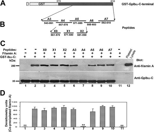Figure 3. Filamin A binding to the cytoplasmic tail of GpIbα is affected only by a peptide spanning residues 557 to 575. (A) The GST-GpIbα-C-terminal construct. (B) Several cytoplasmic domain peptides examined for affects on the binding of recombinant human filamin A to the GST-GpIbα-C-terminal peptide. (C) The first 2 and last 2 lanes show that filamin A binds specifically to the GST-GpIbα-C-terminal peptide. The remaining lanes show the effects of the cytoplasmic domain peptides. (D) Effect of each peptide on recombinant filamin A binding to the GST-GpIbα-C-terminal peptide (n = 3; means + SDs; **P < .01 in comparison to no peptide by Student t test).