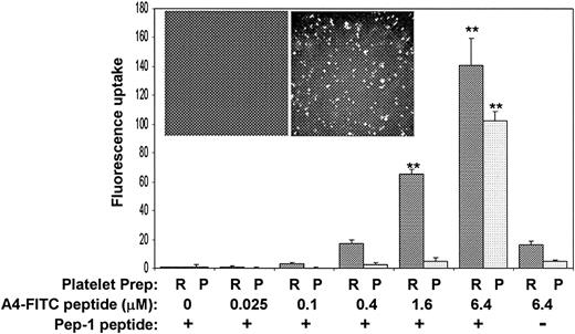 Figure 6. Pep-1 delivers FITC-conjugated A4 peptide into platelets. The bar graph shows fluorescent uptake into platelets when the A4 peptide plus Pep-1 are mixed with PRP (dark bars) or washed platelet suspensions (light bars) for 30 minutes at 37°C. The molar ratio of A4 peptide to Pep-1 is maintained at 1:20 and optimal uptake as measured by flow cytometry occurs with 6.4 μM A4 peptide plus 128 μM Pep-1. The inset shows fluorescent micrographs after washed platelets are incubated with 6.4 μM A4 peptide plus 0 μM Pep-1 (left) or 6.4 μM A4 peptide plus 128 μM Pep-1 (right) and allowed to adhere to glass slides (n = 3; error bars present means + SDs; **P < .01 when compared to 0 A4-FITC by Student t test).