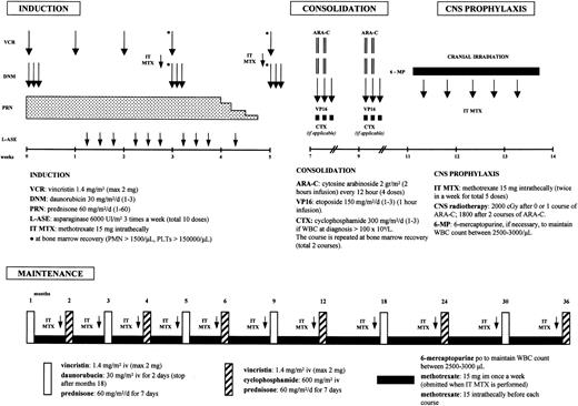 Figure 1. A schematic representation of the GIMEMA 0496 treatment plan. The figure was derived from Todeschini et al18 with permission.