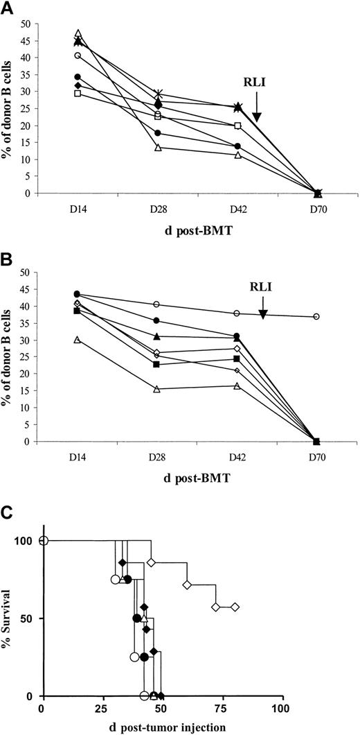 Figure 4. BALB/c-derived IFN-γ plays a critical role in the antitumor effect of RLI against A20 but is not required for loss of chimerism. BALB/c WT and BALB/c IFN-γ knock-out (KO) recipient mice were conditioned with anti-CD4– and anti-CD8–depleting mAbs on day –5, CTX 200 mg/kg intraperitoneally on day – 1, and 7 Gy thymic irradiation on day 0 prior to transplantation of 20 × 106 B10.BR BMCs intravenously. Some groups received 3 × 107 recipient spleen cells (RLI) from BALB/c WT or BALB/c IFN-γ KO mice intravenously on day +49 after BMT and/or 5 × 105 A20 BALB/c B lymphoma cells intravenously on day +56 after BMT. (A) Levels of peripheral blood B-cell chimerism before and after RLI in BALB/c WT mice receiving conditioning, BMT and WT RLI. B-cell chimerism is representative of chimerism in all lineages. Each line represents an individual animal. (B) Levels of peripheral blood B-cell chimerism before and after RLI in BALB/c IFN-γ KO mice receiving conditioning, BMT, and IFN-γ KO RLI. B-cell chimerism is representative of chimerism in all lineages. Each line represents an individual animal. (C) Survival of A20 tumor recipients. BALB/c WT mice had been treated with conditioning alone (○; n = 4); conditioning and BMT without RLI (▵; n = 4); or conditioning, BMT, and WT RLI (⋄; n = 7). BALB/c IFN-γ KO mice received conditioning and BMT without RLI (•;n = 4) or conditioning, BMT, and IFN-γ KO RLI (♦;n = 7).