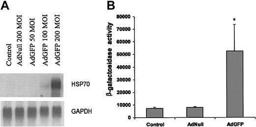 Figure 3. AdGFP-induced transcriptional activation of HSP70 promoter and RNA expression. (A) Northern analysis of HSP70 gene expression in ECs. Total RNA (10 μg/lane) was isolated from uninfected control cells and cells infected with AdNull (200 MOI) or AdGFP (50-200 MOI) for 48 hours. The blot was hybridized to a 32P-labeled human HSP70b cDNA probe and control 32P-labeled GAPDH probes to normalize RNA loading. (B) AdGFP activates HSP70 promoter activity. HUVECs were transfected with 2 μg HSP70 reporter plasmid containing the β-galactosidase for 12 hours, and then treated for 48 hours under the following conditions: control, AdNull 200 MOI, or AdGFP 200 MOI. β-Galactosidase reporter activities were measured in cellular extract. The columns are the means, and the bars are the SD; *P < .001 compared with control. The results are representative of 3 separate experiments.