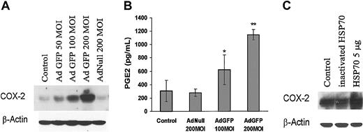 Figure 7. Effects of GFP on COX-2 expression and PGE2 production in ECs. (A) Control uninfected cells and cells infected with AdGFP (50-200 MOI) or AdNull (200 MOI) for 48 hours. Cell lysates were probed for COX-2 expression by Western blotting and (B) culture supernatants were analyzed for PGE2. Production of PGE2 was determined by enzyme immunoassay as described in “Materials and methods.” The columns are the means, and the bars are the SD (n = 4); *P < .05 compared with control; **P < .01 compared with control. (C) Cells were treated without or with recombinant human HSP70 (5 μg/mL) or heat-inactivated HSP70 (5 μg/mL) for 24 hours. Immunoblots were probed with antibody specific for COX-2.