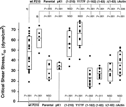 Figure 4. N-terminal and C-terminal deletions abrogate increased cell adhesion. Wild-type P210BCR-ABL or mutants were expressed in 32D cells, and the magnitude of binding between each population and a fibronectin monolayer was determined. Two independently transduced populations of each mutant were tested, and the critical shear stress of individual spins for a single population is shown (•). Rectangles represent 1 SD greater than and less than the mean. Significance values are given at the top of the graph for mutants compared with 2 wild-type P210BCR-ABL populations (#1 and #2) or at the bottom of the graph when compared with vector control pK1. Wild-type P210BCR-ABL or functional mutants segregate into 2 groups that have a higher (P210BCR-ABL, Y177F, and (1-210)) or lower ((1-162), (1-63), Δ(1-63), and ΔActin) ability to bind fibronectin, suggesting that both N-terminal and C-terminal functional domains contribute to increased cell adhesion. Binding of each mutant to BSA-only–coated coverslips was similar for each mutant and was low, comparable to wild-type P210BCR-ABL or vector control cells (data not shown). (An additional population of pK1 similar to the one shown, as well as wild-type P210BCR-ABL #2, were previously published.13). NSD indicates not significantly different.
