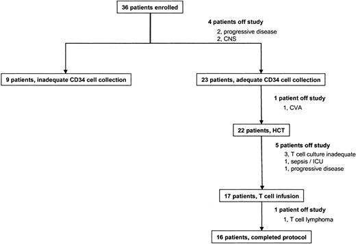 Figure 2. Patient outcome. Boxes represent treatment pathways for all subjects enrolled onto the protocol. HCT indicates hematopoietic cell transplantation.