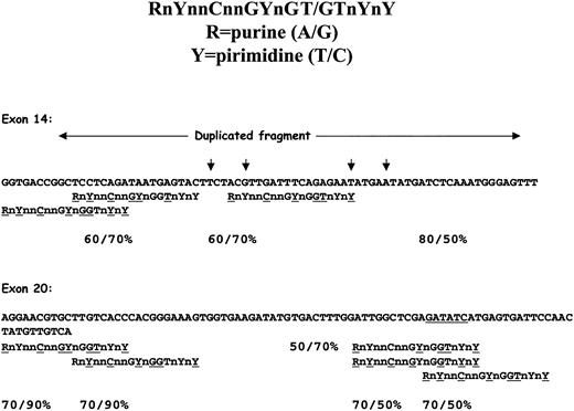 Figure 4. Potential topoII sites in FLT3 exons 14 and 20. Top: consensus topoII recognition sequence. Bottom: the entire exons 14 and 20 were searched, but only sequences flanking potential sites are shown. Percentages under potential sites refer to homology on the sense/antisense DNA strands, respectively. Homologous nucleotides are underlined and tyrosine residues identified as vertical arrows. The EcoRV site that covers D835 and I836 in exon 20 is underlined.