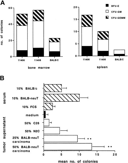 Figure 2. Effect of mammary tumors on hematopoiesis and clonogenicity. Mammary tumors alter BALB-neuT hematopoiesis and affect normal BALB/c BM cells' clonogenicity. (A) Phenotype of colonies from BM and spleen of individual BALB-neuT and BALB/c. (B) Effects of BALB-neuT serum and tumor supernatant on CFUs of normal BALB/c BM cells. Sca-1+ hematopoietic stem/progenitor–enriched BM cells seeded on irradiated AFT024 stromal cells were conditioned for 5 days with 10% serum from tumor-bearing BALB-neuT or normal BALB/c mice (▧); with supernatant from tumor cell lines (C26 colon carcinoma and N2C mammary carcinoma) or from primary cultures of mammary BALB-neuT carcinomas (□), at the indicated concentrations; or with medium alone (▪). Cells were recovered and scored for CFUs in methylcellulose at day 10 (mean of 4 replicates ± SD). **P < .05 indicates statistically significant differences from control.