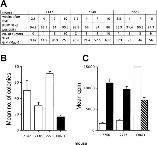 Figure 3. Conditioning of donor BM by host tumor. Lethally irradiated 22-week-old BALB-neuT females received transplants of BM from CB6F1 mice. (A) Kinetics of BM uptake, tumor development, and myeloid expansion in the PB of 3 representative mice that had received transplants. (B) CFU assay with spleen cells of 33-week-old BALB-neuT mice that had received transplants (10 to 11 weeks after the transplantation) and of CB6F1 control mice. (C) Proliferation of total splenocytes from BALB-neuT mice with transplants in response to alloantigens in mixed leukocyte reaction (□), increased upon removal of Gr-1+/Mac-1+ cells (▪); alloproliferation of normal donor CB6F1 splenocytes declined upon addition of 10% of Gr-1+/Mac-1+ cells (▧) from BALB-neuT mice receiving transplants. Results are from 3 of 10 mice tested. Mean of 3 replicates ± SD.