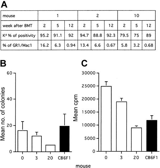Figure 4. Reversion of BALB-neuT BM hyperplasia after transplantation into normal mice. BM from 23- to 28-week-old BALB-neuT females bearing 4 to 10 tumors was transplanted into 9-week-old CB6F1 mice. (A) Kinetics of BM uptake and reversion of myeloid hyperplasia in PB of mice with transplants. (B) CFU assay in spleen cells of 21-week-old CB6F1 mice with transplants (12 weeks after transplantation). (C) Proliferation of total splenocytes from CB6F1 (□) and control (▪) mice with transplants in response to alloantigens in mixed leukocyte reaction. Results shown are from 3 of 6 mice tested. Mean of 3 replicates ± SD.