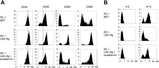 Figure 4. The p72syk inhibitor piceatannol inhibits LAG-3–induced up-regulation of DC surface molecules and LAG-3–induced down-regulation of antigen uptake by DCs. Peripheral blood monocytes were differentiated into immature DCs with GM-CSF and IL-4 for 7 days. Cells were then treated in the presence of GM-CSF and IL-4 with 10 μg/mL IgG1 or LAG-3Ig or preincubated for 2 hours with the p72syk inhibitor piceatannol prior to treatment with LAG-3Ig. After 24 hours of incubation, surface expression of the indicated markers was analyzed by flow cytometry (A). Cells were incubated with BSA-FITC for 30 minutes at 4°C or 37°C, and the BSA uptake was determined by FACS analysis (B). Results are representative of 3 independent experiments.