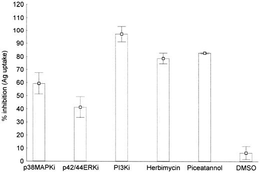Figure 6. Effect of SB203580 (p38MAPKi), PD98059 (P42/44ERKi), LY294002 (PI3Ki), and herbimycin A inhibitors on LAG-3–induced down-regulation of antigen uptake by human monocyte-derived dendritic cells. Immature DCs were treated for 24 hours with 10 μg/mL IgG1 or LAG-3Ig after preincubation with each inhibitor for 2 hours as indicated. Cells were then incubated with BSA-FITC for 30 minutes at 4°C or 37°C, and the BSA uptake was determined by FACS analysis. The percentage of FITC-positive cells was used to calculate the percentage of inhibition of LAG-3–induced down-regulation of BSA uptake by the indicated inhibitors. As the inhibitors were dissolved in DMSO, cells treated with the same concentration of DMSO alone (0.1%) were used as a control. Data are given as mean ± SEM of at least 3 independent experiments.