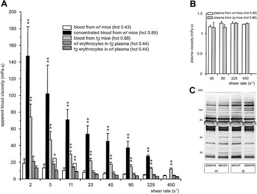 Figure 4. Blood and plasma viscosity of wt and tg mice. (A) Blood viscosity from wt (109 ± 6 days old) or tg (111 ± 9 days old) mice was measured at predefined shear rates ranging from 2 s–1 to 450 s–1. Transgenic blood (▦; hematocrit value, 0.88) was about 4 times as viscous as normal wt blood (□; hematocrit value, 0.43) but only half as viscous as hemoconcentrated wt blood reaching an hematocrit value of 0.89 (▪). Due to the extreme viscosity of the concentrated wt blood its viscosity at the highest shear rate could not be determined with our viscosimeter (missing black column at 450 s–1). The viscosity of reconstituted blood consisting of wt erythrocytes in tg plasma (▧) or tg erythrocytes in wt plasma (), both adjusted to an hematocrit value of 0.44, did not differ from that of normal wt blood. Although in tendency the viscosity of tg erythrocytes in wt plasma was slightly lower than wt erythrocytes in tg plasma, this observation was significant only at 5 s–1 and 11 s–1. *P < .05, **P < .01 compared with wt blood or as indicated. (B) Plasma viscosity (wt, □; tg, ▦) was measured at predefined shear rates ranging from 45 s–1 to 450 s–1. (C) SDS-PAGE of plasma and serum of wt and tg mice. Neither plasma viscosity nor plasma or serum protein pattern and concentrations differed significantly between the mouse groups.