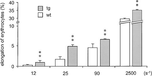 Figure 5. Ektacytometry of tg and wt erythrocytes. Tg erythrocytes (▪) were up to 3 times more elongable than wt erythrocytes (□) at shear rates that correspond to those found in the vasculature in vivo (about 11.5 s–1 to 115 s–1).44 Moreover, enhanced elongation of tg erythrocytes was also observed at the maximal experimental shear rate (2500 s–1) that can be applied without damaging the red cells. ** = P < .01 versus wt.