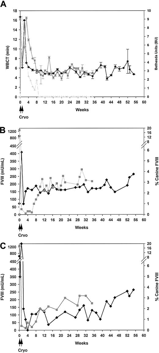 Figure 2. Coagulation parameters measured after vector administration. Hemophilia A dogs were injected via the portal vein with 6 × 1012 vg/kg (Elisa, ♦) or 2.7 × 1013 vg/kg (Junior, ▦) of AAV-cFVIII-104. (A) Whole blood was collected at various times after injection and assayed for whole-blood clotting times. Plasma samples from Junior were also assayed by Bethesda assay for FVIII neutralizing antibodies (- - -). (B-C) Plasma was collected and assayed for biologically active FVIII by Coatest and a one-stage assay, respectively. Both dogs received canine cryoprecipitate on days 0 and 1; Elisa received additional injections on days 5 and 6.
