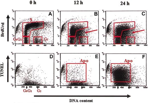 Figure 3. ZOL alters the cell cycle and induces apoptosis in BV173 cells. The effect of ZOL was evaluated by cell cycle analysis using flow cytometry. BV173 cells were exposed to different concentrations of ZOL for 12 or 24 hours. ZOL at 20 μM decreased the percentage of cells in G2/M phase and increased the proportion of cells between G0/G1 and G2/M without appropriate BrdUrd incorporation (indicated by arrows in panels A-C). A TUNEL assay with PI counterstaining revealed that ZOL induces widespread apoptosis from the S phase to G2/M boundary (D-F). The data shown are representative of 3 independent experiments.