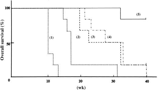 Figure 7. In vivo effect of ZOL alone and in combination with imatinib mesylate on survival in engrafted mice. Each line represents the survival ratio of 5 groups of mice. Administration of ZOL/imatinib mesylate was initiated on day 8. Mice were divided as follows: (1) untreated mice; (2) mice treated with 80 μg/kg ZOL once a week for 6 weeks; (3) mice treated with 80 μg/kg ZOL 3 sequential days a week for 10 weeks; (4) mice treated with 120 mg/kg/d imatinib mesylate from day 8 to 17; and (5) mice treated with 80 μg/kg ZOL 3 sequential days a week for 10 weeks and with 120 mg/kg/d imatinib mesylate from day 8 to 17. Each group contained 6 mice.