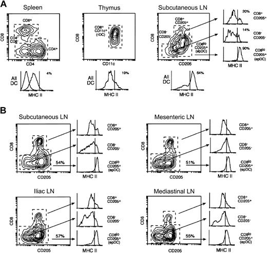 Figure 1. Dendritic cell populations of the spleen, the lymph nodes, and the thymus. (A) DCs were purified in parallel from spleens, thymi, and subcutaneous LNs and analyzed by FACS using antibodies for CD11c, MHC II, and the following combinations depending on the particular lymphoid organ: CD8 and CD4 (spleen), CD8 and CD205 (LN), or only CD8 (thymus). The plots shown were obtained by gating on the CD11c+ live cells (PI–) in each preparation. Mouse spleens contain 3 populations of CD11c+ DCs that can be distinguished by their expression of CD4 and CD8. Subcutaneous LNs contain similar populations (the CD4+ and CD4–CD8– DCs are both CD205–) and, in addition, epDCs. The thymus DCs have a more homogeneous phenotype. The histograms at the bottom of each plot show the expression of MHC II in all the DCs (the numbers indicate the percentages of MHC IIhi DCs). The dashed line shows the fluorescent level of unstained cells. The 3 smaller histograms at the right side show the expression of MHC II in each of the subcutaneous LN DC populations. Note that the occurrence of MHC IIhigh DCs in the subcutaneous LNs can be attributed almost entirely to the presence of epDCs. The 3 splenic DC populations expressed comparable levels of MHC II. All the results were obtained in parallel using the same MHC II antibody and are representative of multiple experiments. (B) The DCs from the subcutaneous LNs, mesenteric LNs, iliac LNs, and mediastinal LNs were purified and analyzed in parallel as in (A). The number in the plots indicates the percentage of epDCs in each LN. In all cases, the CD205–CD8– and the CD205+CD8+ DCs expressed low levels of MHC II, whereas the epDCs accounted for most of the MHC IIhigh DCs. Note that overlapping populations obscure the distinction between MHC IIlow and MHC IIhigh DCs in the gated histograms. The results shown are representative of at least 2 experiments.