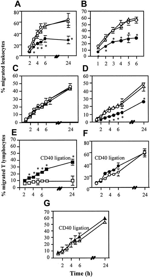 Figure 1. Anergic T cells inhibit parenchymal cell–mediated migration. (Panels A-B) EC monolayers (5 × 104/transwell) were incubated for 16 hours with either anergic (•; 5 × 104/transwell) or responsive (○; 105/well) alloreactive CD4+ T-cell lines or in medium alone (▵). T cells were subsequently removed and fresh T cells (7 × 105/well; panel A) or granulocytes (106/well; panel B) were seeded onto the EC monolayers. The results are expressed as percentage of migrated T cells at the given time points and reported as the average of 3 experiments of identical design. The bars show the standard deviations (SD). * indicates statistically significant (at least P < .01, panel A; at least P < .02, panel B) versus control cultures (EC monolayers cultured in medium). (Panel C) EC monolayers were incubated overnight with supernatants obtained from cultures of T cells in anergizing (•) or resting (○) conditions or in medium alone (▵). Following 2 washes with warm culture medium, fresh T cells (7 × 105/well) were seeded onto the EC monolayers. The results are expressed and reported as specified for panels A-B. (Panel D) TNF-α–treated RTEC monolayers (5 × 104/transwell) were incubated for 16 hours with either anergic (5 × 104/well), or responsive (105/well) CD4+ T-cell lines or clones, or in medium alone. T cells were subsequently removed and fresh T cells (7 × 105/well) were seeded onto the RTEC layers. The results are expressed and reported as specified for panels A-B. * indicates statistically significant (at least P < .05) versus control cultures (RTEC monolayers cultured in medium). (Panels E-G) EC monolayers (5 × 104/transwell) were incubated for 30 minutes at RT with an antihuman CD40 mAb (5 μg/mL, filled symbols) or with an isotype-matched mAb (open symbols). Excess antibody was then removed by gentle washing. Bound antibody was then cross-linked by addition of goat antimouse Miltenyi microbeads (30 μL/μg mAbs) during incubation with anergic (panel E) or responsive (panel F) 7P.61 T cells or in medium alone (panel G) for a further 16 hours. T cells were then removed and migration of freshly added alloreactive T cells (7 × 105/well) was monitored. In all these experiments, cell migration was monitored over the next 6 to 26 hours. The results are expressed and reported as specified for panels A-B. * indicates statistically significant (at least P < .01) versus control cultures (EC monolayers cultured in the presence of anergic T cells).