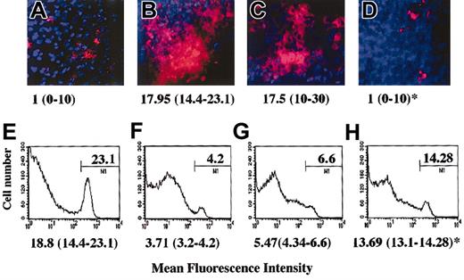 Figure 2. Anergic T cells inhibit tissue infiltration in vivo. Male CBA mice were injected intraperitoneally with 600 U IFN-γ. As a negative control, untreated female mice were used (panels A,E). Two days later, mice received an intraperitoneal injection of either PBS (panels A-B,E-F), responsive (3-5 × 107; panels C,G), or anergic (3-5 × 107; panels D,H) B9 CD4+ T cells (4 × 106/mouse). After 24 hours, red fluorescence-labeled (PKH26) HY-specific C6 T cells (5 × 107) were also injected intraperitoneally in all the mice. The following day, the presence of fluorescently labeled cells in the peritoneal membrane (× 10 original magnification; panels A-D) and in the peritoneal lavage (panels E-H) was assessed by wide-field fluorescence microscopy and flow cytometry, respectively. The peritoneal membrane wide-field images and histograms (in which the percentage of positive cells is specified) are taken from a representative experiment; however, the median number and range of labeled cells quantified in 10 randomly selected × 40-magnified fields of the peritoneal membrane of at least 3 different animals are shown below each image (panels A-D). Similarly, the median percentage of labeled cells recovered in the peritoneal lavage of 3 different samples is specified below each representative histogram. * indicates statistically significant (P < .0001, panel D; P = .05, panel H) compared with male CBA mice (positive control).