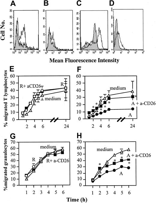 Figure 3. Inhibition of EC function by anergic T cells is mediated by CD26. (Panels A-D) Responsive (▦) or anergic (□) human alloreactive T-cell lines were incubated with FITC-conjugated anti-TGFβ (panel A), anti–IL-10 (panel B), and anti-CD26 (panel C) mAbs. Cells were then analyzed by flow cytometry. The average median fluorescence intensity of CD26 expression by anergic T cells in 3 separate experiments was 162.68 ± 57.72 SD, while that of responsive T cells was 30.1 ± 3.8 SD. This difference was statistically significant (P < .02). Expression of CD26 by murine responsive and anergic T cells was also compared (clone B9; panel D). The average median fluorescence intensity of CD26 expression by murine anergic T cells in 3 separate experiments was 5.6 ± 0.8, while that of responsive T cells was 1.5 ± 2.1 SD. This difference was statistically significant (P < .05). (Panels E-H) Responsive (105/well; panels E,G) and anergic (5 × 104/well; panels F,H) T-cell lines were treated for 30 minutes at 4°C with an anti-CD26 antibody or with an isotype-matched control mAb and washed prior to being added to TNF-α–treated EC monolayers grown on 12-mm–diameter transwells (5 × 104/well). As a control, EC monolayers were incubated in medium alone. T cells were subsequently removed and fresh 7P.61 T cells (7 × 105/well; panels E-F) or granulocytes (106/well; panels G-H) were seeded onto the EC monolayers. The results are expressed as percentage of migrated T cells at the given time points and are reported as the average of 3 experiments of identical design. The bars show the SD. * indicates statistically significant (at least P < .03, panel F; at least P < .03, panel H) versus control cultures (EC monolayers cultured with anergic T cells).