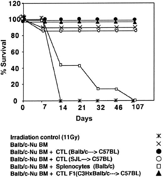 Figure 4. Donor (Balb/c) anti–third-party (C57BL/6) CTLs are depleted of GVH reactivity against the host (C3H/HeJ). Host mice were conditioned with 11 Gy TBI and radio-protected with 2 × 106 Balb/c-Nude BM cells. The GVH reactivity of the CTLs or the unseparated spleen cells is reflected by the percent survival following infusion of 2 × 106 cells.