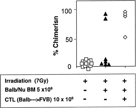Figure 7. Donor-type chimerism in sublethally (7 Gy) irradiated hosts (C3H/HeJ) of 5 × 106 allogeneic BM (Balb/c-Nude): enhancement by veto CTLs.
