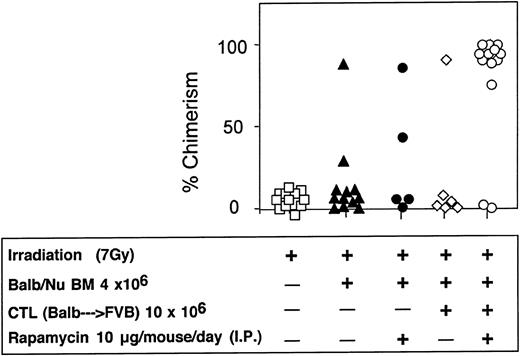 Figure 12. Synergistic enhancement of BM allografting of anti–third-party CTLs and rapamycin in sublethally irradiated mice.