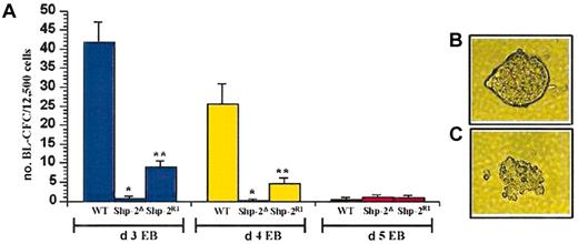 Figure 3. Shp-2 is necessary for hemangioblast (BL CFC) formation. (A) Day 3, 4, or 5 EBs were dissociated and plated into hemangioblast cultures. At least 2 independent experiments were conducted for each comparison and cultures were plated in duplicate or triplicate. Day 3: *P < .0001 comparing WT to Shp-2Δ; **P < .0001 comparing Shp-2R1 to Shp-2Δ. Day 4: *P < .006 comparing WT to Shp-2Δ and **P = .01 comparing Shp-2R1 and Shp-2Δ. (B) Representative secondary EB. (C) Representative hemangioblast (BL-CFC) colony. Error bars represent SEM.