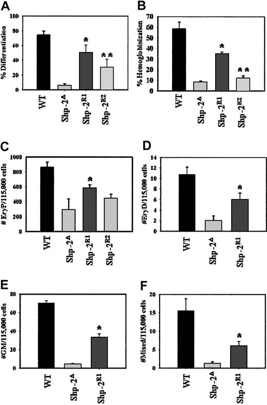 Figure 4. Reconstitution with Shp-2 rescues ES cell differentiation and hematopoiesis. (A) ES cell colonies were scored following 48 hours of culture without LIF. The number of differentiated colonies was divided by the total number of colonies to yield percent differentiated colonies. Two independent experiments, cultures plated in duplicate; *P = .009 comparing Shp-2R1 to Shp-2Δ and **P = .05 comparing Shp-2R2 to Shp-2Δ. (B) EBs were scored for the presence or absence of hemoglobinized cells at day 8 to 10 of differentiation. The number of hemoglobinized EBs was divided by the total number of EBs to yield percent hemoglobinization. Three independent experiments, cultures were plated in duplicate; *P < .0001 comparing Shp-2R1 to Shp-2Δ and **P = .06 comparing Shp-2R2 to Shp-2Δ. (C) Primitive erythroid (EryP) progenitors; 2 independent experiments, cultures plated in duplicate; *P = .04 comparing Shp-2R1 to Shp-2Δ. All assays for definitive progenitors were conducted 2 independent times and all cultures were in duplicate. (D) Definitive erythroid (EryD) progenitors; *P = .03 comparing Shp-2R1 to Shp-2Δ. (E) Mixed progenitors; *P = .002 comparing Shp-2R1 to Shp-2Δ. (F) Granulocyte-macrophage (GM) progenitors; *P < .0001 comparing Shp-2R1 to Shp-2Δ. Error bars represent SEM.