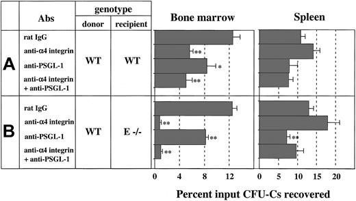 Figure 1. Role of α4 integrin, PSGL-1, and E-selectin ligands in HPC homing to bone marrow. Lethally irradiated wild-type (WT) or E-selectin–deficient (E–/–) mice were injected with antibody-treated wild-type donor BM cells. CFU-Cs were determined from the recipient BM and spleen 3 hours after injection. (A) Transplantation of donor cells treated with rat IgG, anti–α4 integrin (PS/2), anti–PSGL-1 (4RA10), or both PS/2 and 4RA10 into WT recipient mice. n = 6 mice per group. (B) Transplantation of antibody-treated donor cells into E–/– recipient mice. n = 5 per group. *P < .05, **P < .01 compared with rat IgG control group.