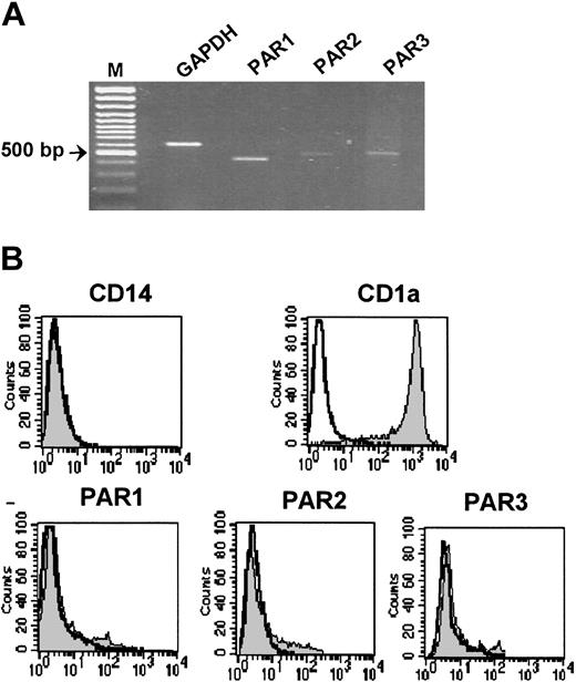 Figure 3. Expression of protease-activated receptors in human dendritic cells. (A) RT-PCR analysis shows PAR1, PAR2, and PAR3 mRNA expression in dendritic cells differentiated from monocytes for 6 days in the presence of 1000 U/mL GM-CSF and 25 ng/mL IL-4. GAPDH was used for normalization. (B) Flow cytometric analysis of PAR1, PAR2, and PAR3 in human dendritic cells was performed as described in Figure 1. CD14 and CD1a antigens were used as differentiation markers. Nonshaded peaks represent cells stained with isotype-matched control antibodies. M indicates marker. Results of 1 of 3 independent dendritic cell preparations are shown.
