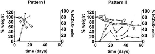 Figure 1. Different huPBMC engraftment patterns. The first experiment for engraftment of huPBMCs by intravenous transfer into irradiated RAG2-/- γc-/- mice was performed with 10 different donors. Engraftment occurred with 9 of 10 donors. After 2 to 4 weeks an increase in human CD45+ cells was observed (right Y-axis) and X-GVHD developed in the mice, characterized by a rapid and severe weight loss (left Y-axis). Two patterns of engraftment could be discerned: pattern I, “early” engraftment (5 donors); and pattern II, “late” engraftment (4 donors). Two groups are shown as representative examples. Symbols ▿, □, and ○ indicate 3 different mice. indicates death of the mouse; closed symbols, % human CD45+ cells; and open symbols, weight (as a percentage of the initial weight).