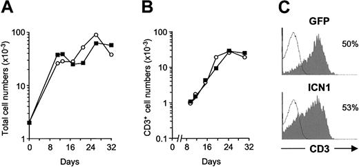 Figure 1. Generation of CD3+ T cells from human CD34hi thymic lymphoid precursors expressing a constitutively active form of Notch1. Development of T cells from human CD34hi thymic lymphoid precursors transduced with a retroviral vector encoding either the entire intracellular domain of human Notch1 (ICN1) and GFP from a bicistronic transcript, or GFP alone, was analyzed in a hybrid hu/mo FTOC assay. Absolute numbers of total (A) and CD3+ cells (B) derived from ICN1-(▪) or mock-transduced (○) progenitors calculated on electronically gated GFP+ cells at the indicated culture times. Absolute numbers were normalized to 2 × 103 GFP+ transduced cells/lobe. (C) CD3 expression levels determined by flow cytometry on GFP+-gated cells derived from ICN1-transduced (ICN1) or mock-transduced (GFP) progenitors after 32 days of culture (shaded histograms). Background staining (empty histograms) was determined with isotype-matched irrelevant antibodies. Results are representative of 4 independent experiments.